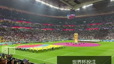 世界杯下注突发变动结果出乎意料