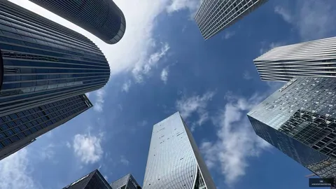 体育品牌电竞联名鞋款，爆款发售中